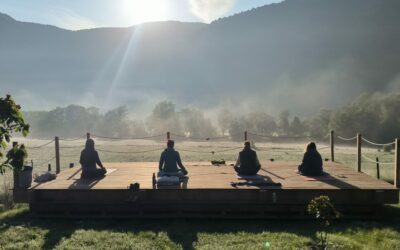 Pourquoi j’aime organiser des stages de yoga ?