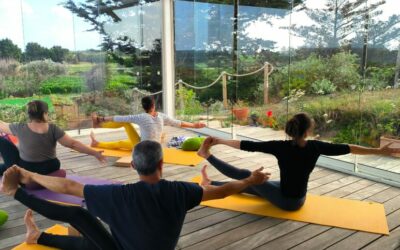 Le yoga : performance ou transformation intérieure ?