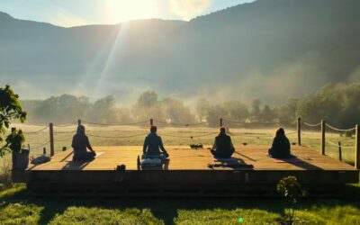 Le yoga en extérieur, une expérience plus nourrissante qu’ en salle.