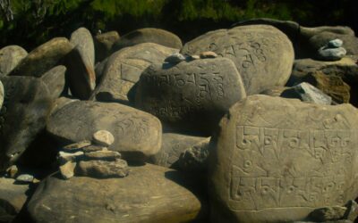 Quand la vibration change