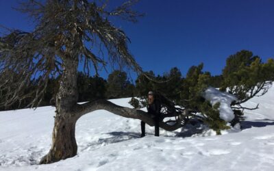 Être une lanterne sur le chemin