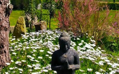 Atelier Yoga sur Mesure
