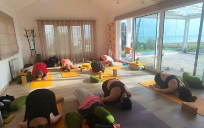 Week-end yoga: Pratique uniquement du 14  au 16 Août 2026