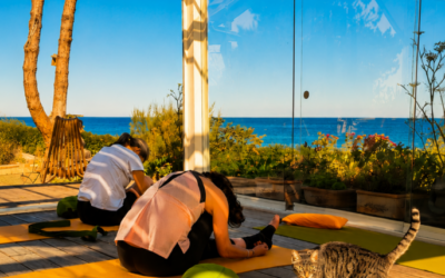 Week-end yoga automnal, massages, bains chauds, sauna en Normandie face à la mer du 5 au 7 novembre 2027.